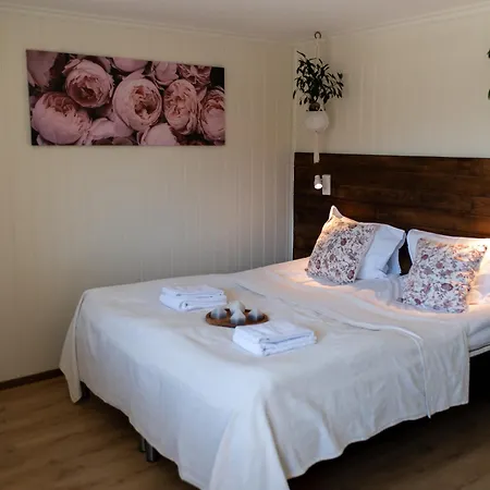 Fjellhagen Guest house Bjorkheim